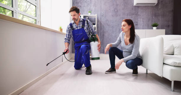 Best Pest Prevention Services  in Prescott Valley, AZ